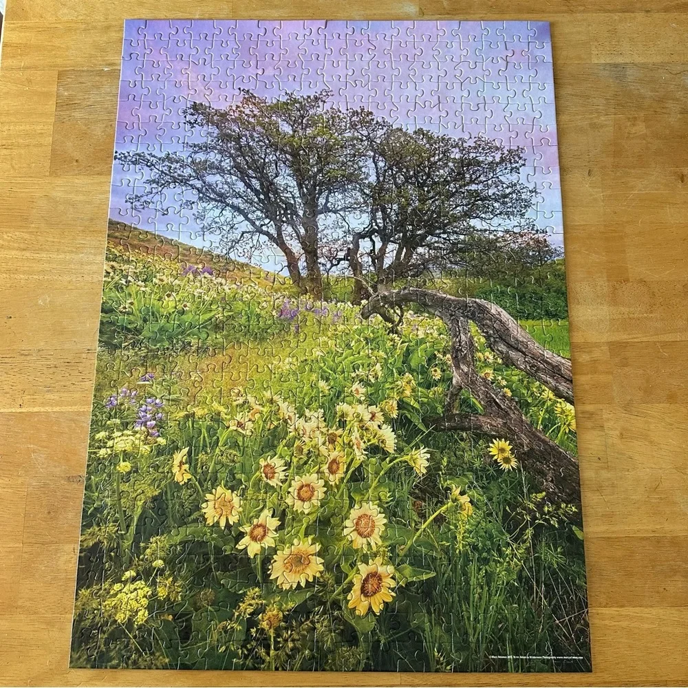 MEGA PUZZLES 500 piece landscape puzzle